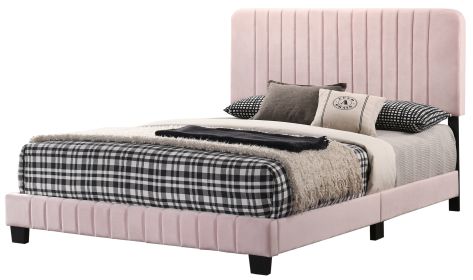 Glory Furniture Lodi G0406-KB-UP KING BED , PINK - as Pic