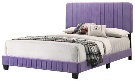 Glory Furniture Lodi G0502-KB-UP KING BED , PURPLE - as Pic