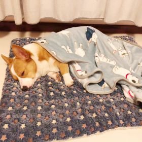 Cat dog sleeping mat warm thickened Sleeping pad blanket;  dog house warm mattress pet cushion - Blue stars - No.6 79*60cm