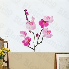 Bright Flowers - Wall Decals Stickers Appliques Home Decor - HEMU-LD-8025