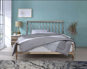 ACME Marianne Queen Bed, Copper 22690Q - as Pic