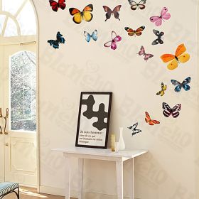 Butterflies - Wall Decals Stickers Appliques Home Decor - HEMU-HL-920