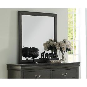 Louis Philippe Mirror in Dark Gray YJ - 26794