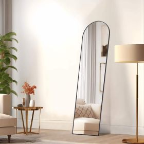 Floor Standing Mirror, Wall Mirror with Stand Aluminum Alloy Thin Frame,16''*59'',Black - as Pic