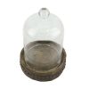 Medium Rustic Wood with Bell Shaped Cloche - STONEBRIAR