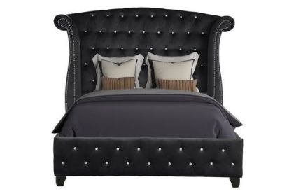 Sophia Upholstery Queen Size Bed Made With Wood in Black Color - as pic