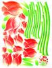 Gentle Tulips - Wall Decals Stickers Appliques Home Dcor - HEMU-AY-601A