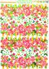 Butterfly Echoes In Blossom - Wall Decals Stickers Appliques Home Dcor - HEMU-AM-7025